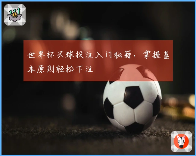 世界杯买球投注入门秘籍，掌握基本原则轻松下注