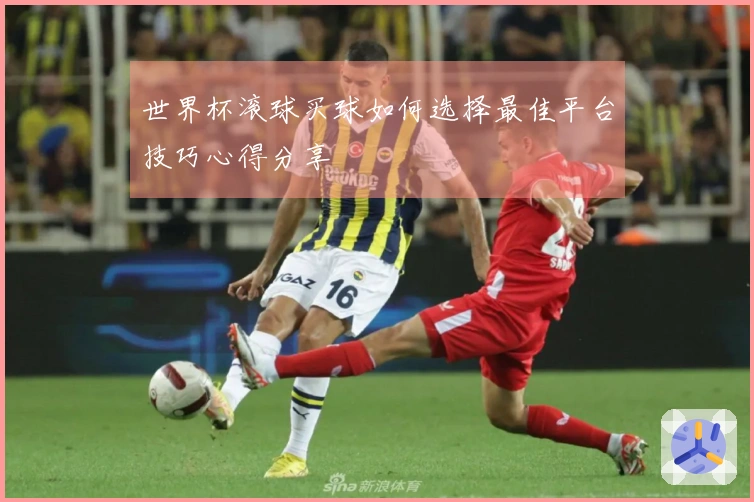 世界杯滚球买球如何选择最佳平台技巧心得分享