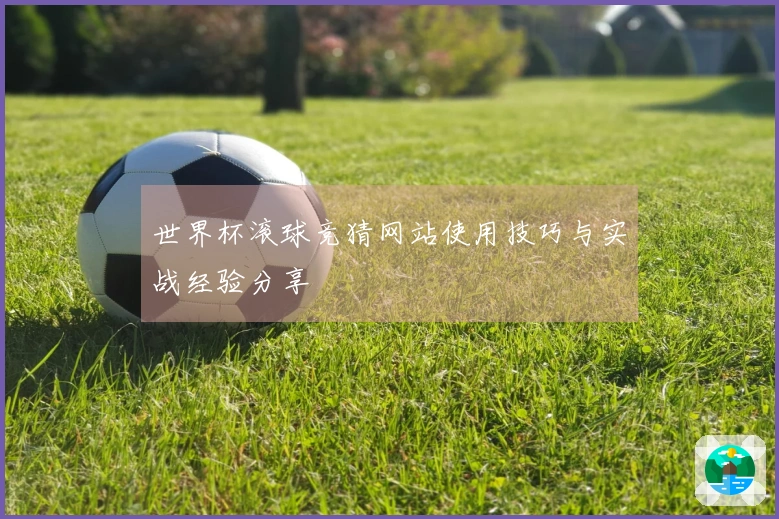 世界杯滚球竞猜网站使用技巧与实战经验分享