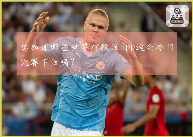 你知道哪些世界杯投注app适合冷门比赛下注吗？