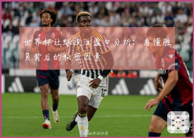 世界杯让球投注盘口分析:看懂胜负背后的秘密因素