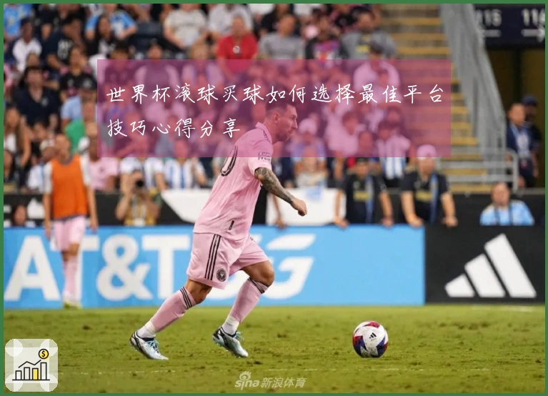 世界杯滚球买球如何选择最佳平台技巧心得分享