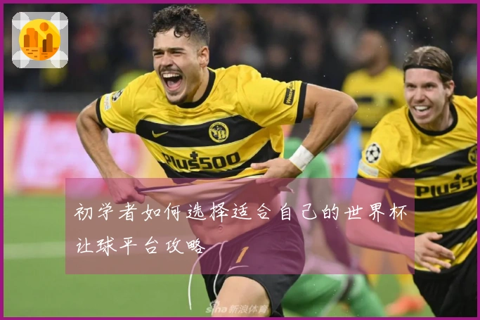 初学者如何选择适合自己的世界杯让球平台攻略
